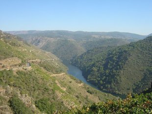 A Ribeira Sacra, berce do viño de Amandi. / Foto: Oteo